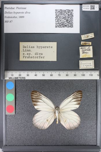 Media type: image;   Entomology 128232